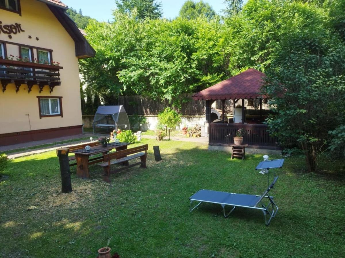 Villa Foisor Buşteni Exteriér fotografie