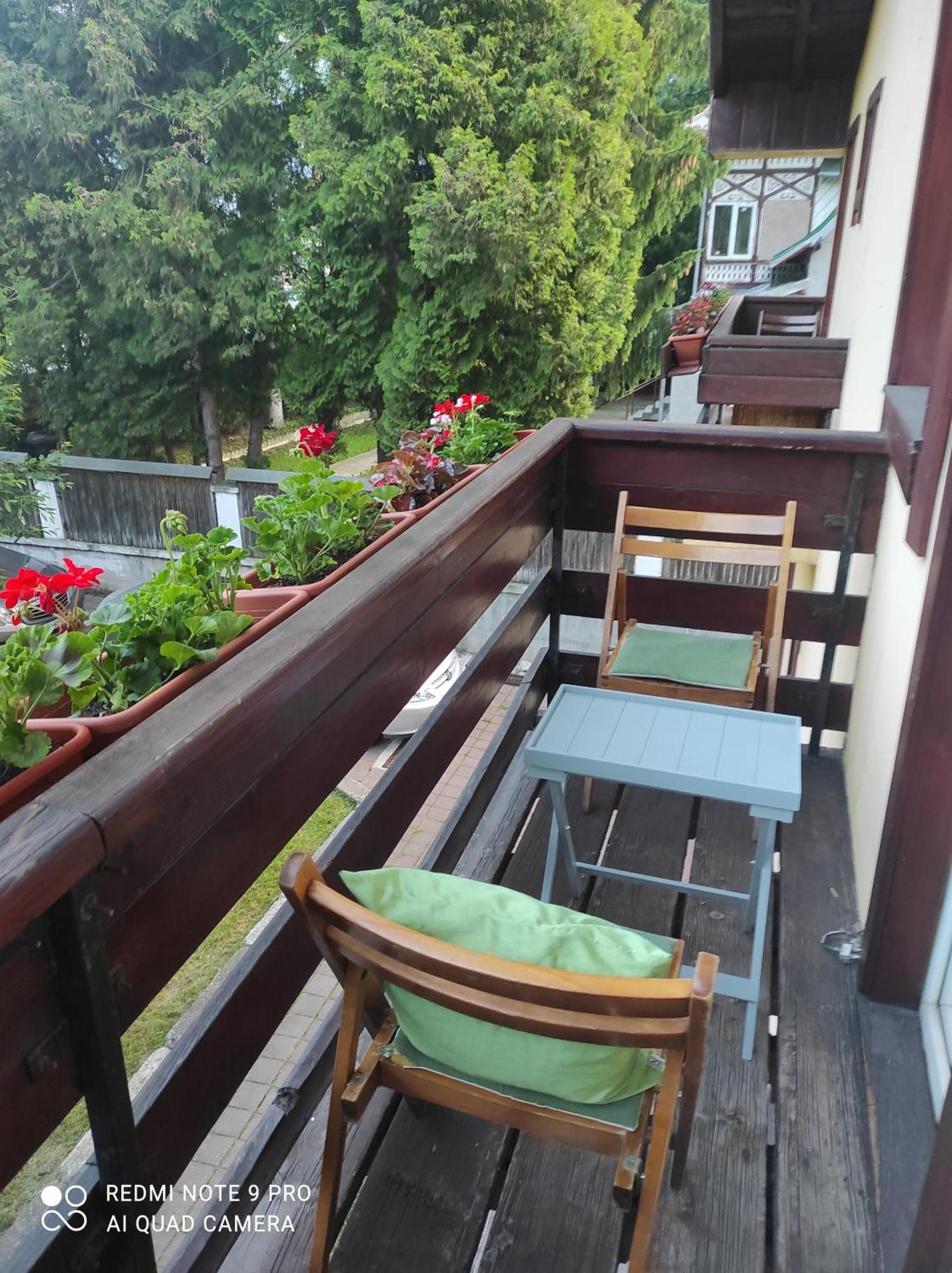Villa Foisor Buşteni Exteriér fotografie