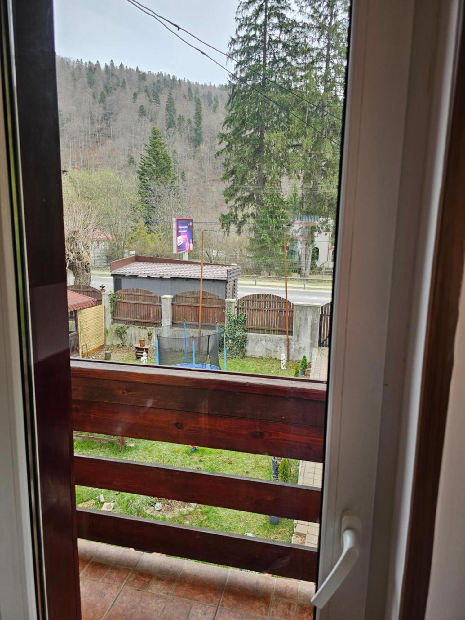 Villa Foisor Buşteni Exteriér fotografie